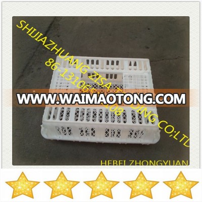 capacity 8-20 live poultry large plastic transport crates for live poultry skype yolandaking666